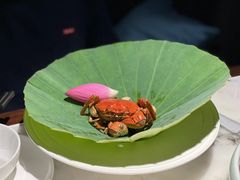 -淮扬府(安定门店)