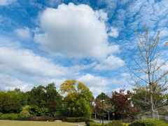 -上海崇明金茂凯悦酒店