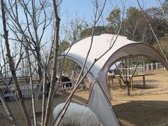 -金鸡湖桃花岛