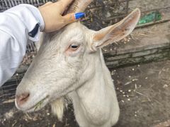 -竹泉农庄·竹筒饭(从化店)