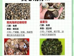 -巧克力渔家.小船海鲜胶东菜(万平口店)