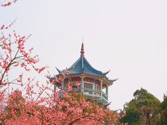 -无锡梅园公园