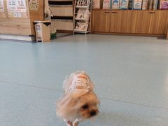 -萌兽医馆·犬猫专科·眼科中心·宠物医院(朝阳门分院)