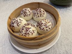 -金粤九号(李公堤店)