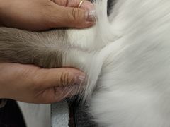 -FAELING PETS美天灵宠物(富力广场店)