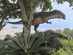 -自贡恐龙博物馆