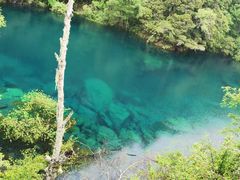 -叠溪松坪沟景区