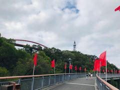 -金鸡山公园