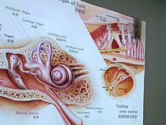 -自然之声助听器·呼吸机(康桥旗舰店)
