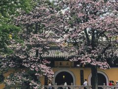 -虞山风景区