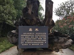 -关山古镇