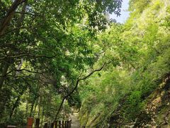 -雁荡山三折瀑景区