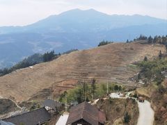 -紫鹊界梯田景区