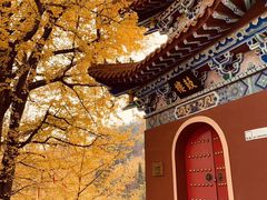 -遵化市禅林寺古银杏风景园