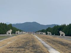 -清东陵