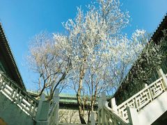 -国家图书馆·古籍馆