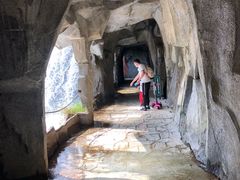 -吉林市朱雀山国家森林公园