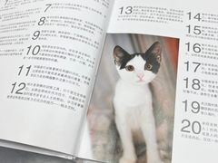-申普宠物医院·心脏介入·心血管微创(总院)