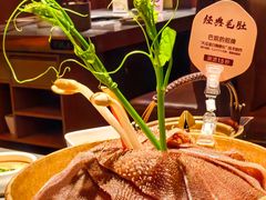 -巴奴毛肚火锅(景枫中心店)