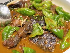 红烧野生甲鱼-茶叁酒肆·楚味江湖(菱角湖店)