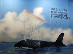 -锦艺城海洋馆