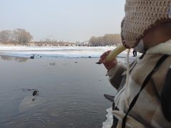 -长白岛森林公园