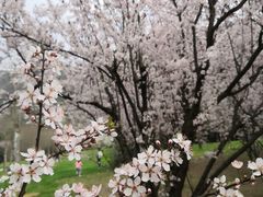 -贵阳市花溪国家城市湿地公园