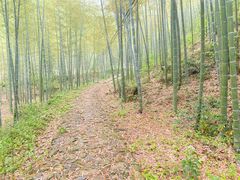 -众神白水涧景区