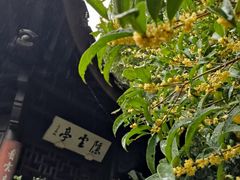 -杭州半山国家森林公园