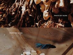 -蓝瓶子BlueBottle(东瓯智库店)