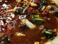 -焯明脆肉鲩世家(金沙洲店)