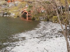 -醍醐寺
