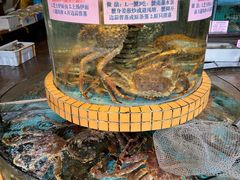 -荔城生鲜盛宴(番禺旗舰店)