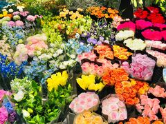 -双季花艺园艺市场(浦东店)