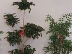 -耳韵·变装·躺式采耳SPA馆(汇海广场店)