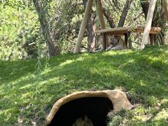 -北京野生动物园