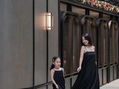 -新加坡乌节希尔顿酒店 (SG Clean)