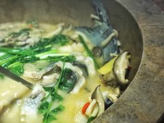 -鲜呦蒸汽石锅鱼(北辰路店)