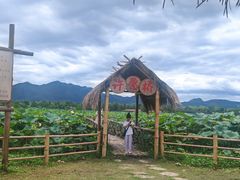 -西双版纳傣族园