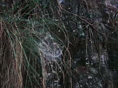 -云中大漈
