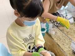 -怪兽屋·羊驼·猫咖·狗咖(俊华广场店)