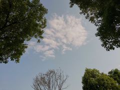 -牛岗山公园