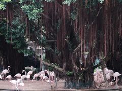 -九龙公园