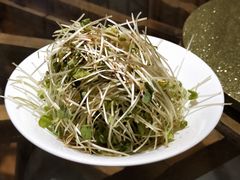 燕青荞麦菜-兴农记