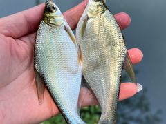 -蓝天路(地铁站)