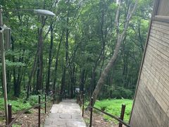 -帽儿山风景区
