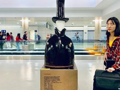 -上海浦东国际机场-T2航站楼