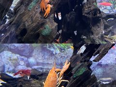 -正佳极地海洋世界