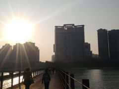 -野狸岛