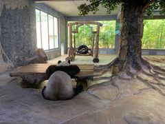 -海南热带野生动植物园